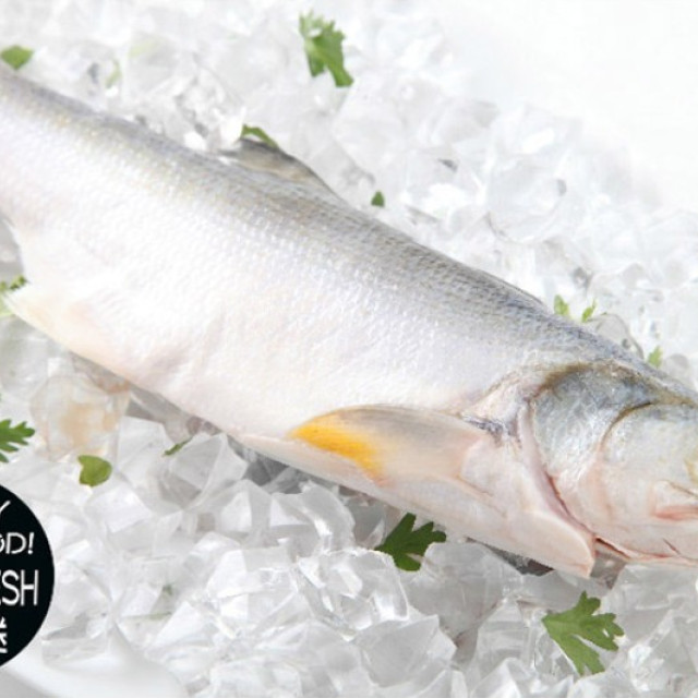 海鮮主義 肉質鮮嫩午仔魚5包組 (300g±10%/包)