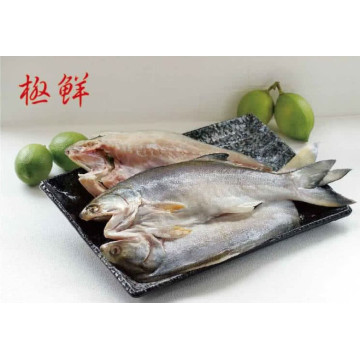 海之醇 台灣物產午仔魚一夜干-6隻組 (270-300g/隻)