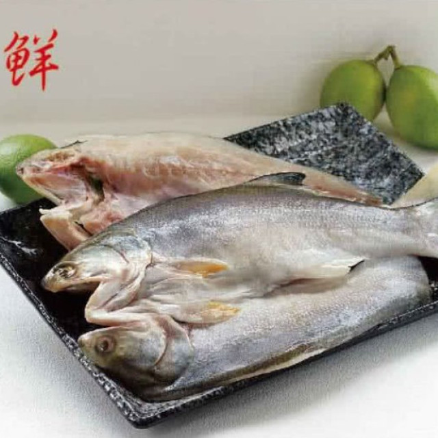 海之醇 台灣物產午仔魚一夜干-6隻組 (270-300g/隻)