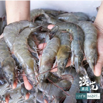 漢克嚴選 純淨天然野放巨大白蝦霸6盒組 (500g/1包/約8至15尾)