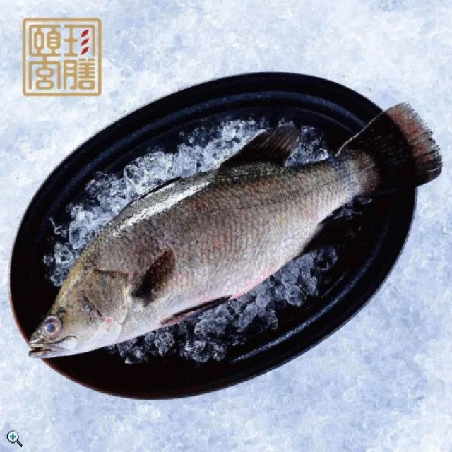 頤珍宮膳 產銷海水金目鱸魚整尾10尾 (350g±10%*10 海鮮 鮮魚 生鮮 時令 時令魚)