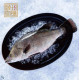 頤珍宮膳 產銷海水金目鱸魚整尾10尾 (350g±10%*10 海鮮 鮮魚 生鮮 時令 時令魚)