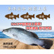 頤珍宮膳 產銷海水金目鱸魚整尾10尾 (350g±10%*10 海鮮 鮮魚 生鮮 時令 時令魚)