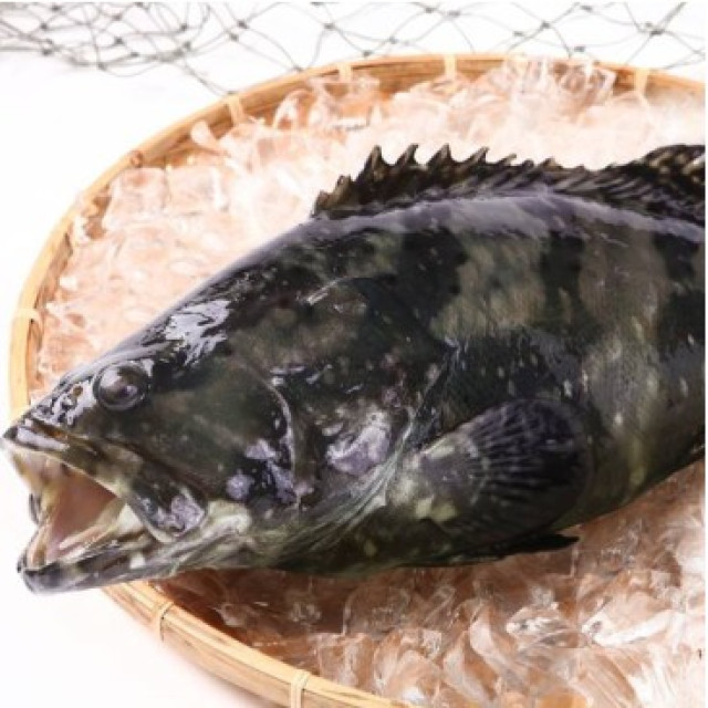 頂級鑽石龍虎斑500g/每包，共4包