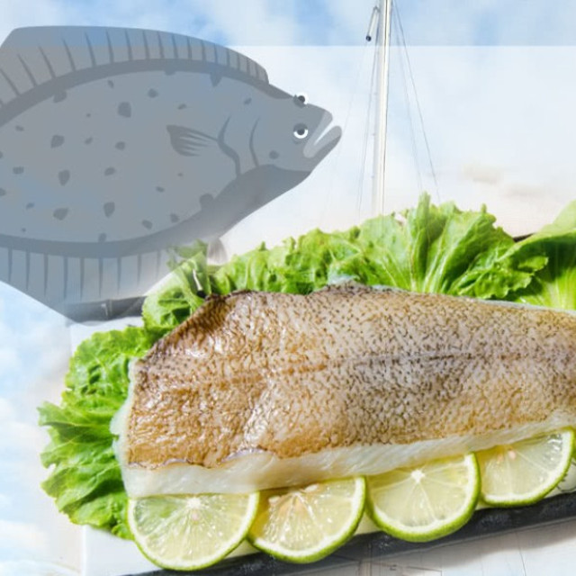 皇帝魚菲力清肉 (300g-400g/片 共13包)